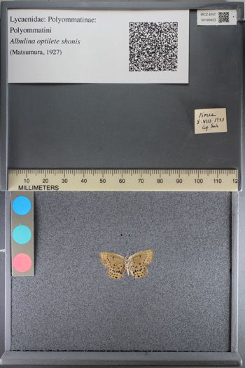 Media type: image;   Entomology 193423